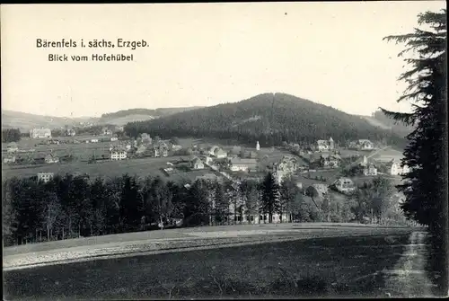 Ak Bärenfels Altenberg im Erzgebirge, Ort vom Hofehübel gesehen