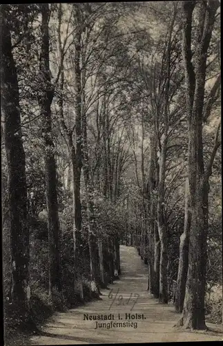 Ak Neustadt in Holstein, Jungfernstieg