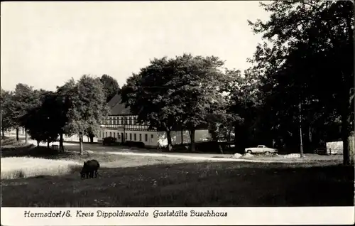 Ak Hermsdorf im Osterzgebirge, Gaststätte Buschhaus