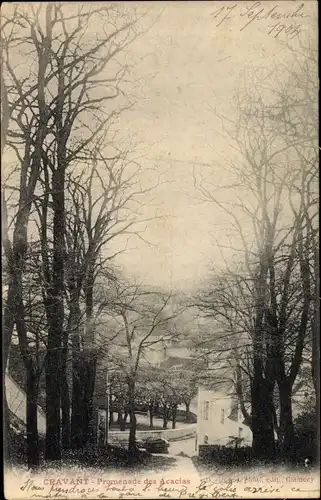 Ak Cravant Yonne, Promenade des Acacias