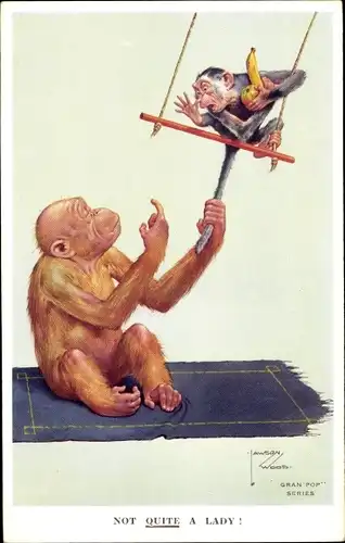 Künstler Ak Wood, Lawson, vermenschlichte Affen, Schaukel, Not quite a Lady