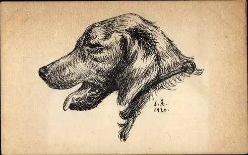 Künstler Ak Profilansicht von einem Hund, Hundeportrait