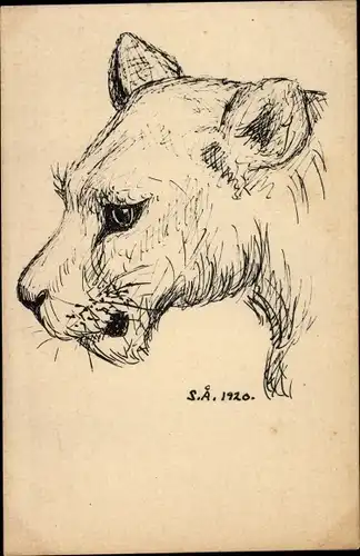 Künstler Ak Portrait von einer Löwin