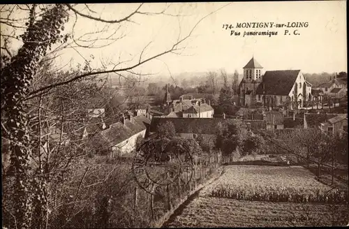 Ak Montigny sur Loing Seine et Marne, Vue panoramique