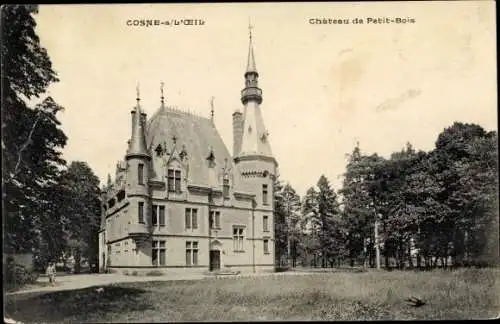 Ak Cosne-sur-L´Oeil, Allier, Château de Petit-Bois