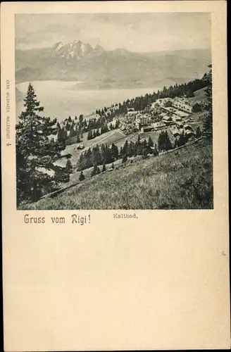 Ak Rigi Kaltbad Schwyz, Panorama