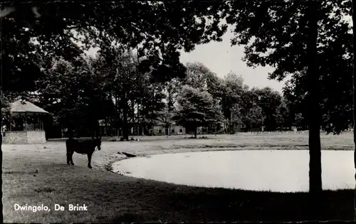 Ak Dwingeloo Drenthe Niederlande, De Brink