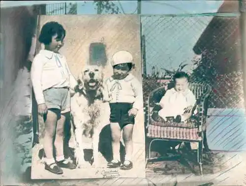 Foto Combalie, Henri, Toulouse, Portraitfotografie, Kleinkind sitzend vor Busch