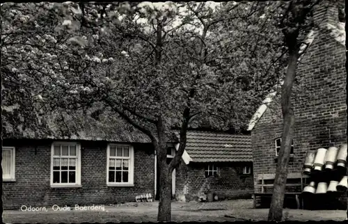 Ak Borger Odoorn Drenthe Niederlande, Oude Boerderij