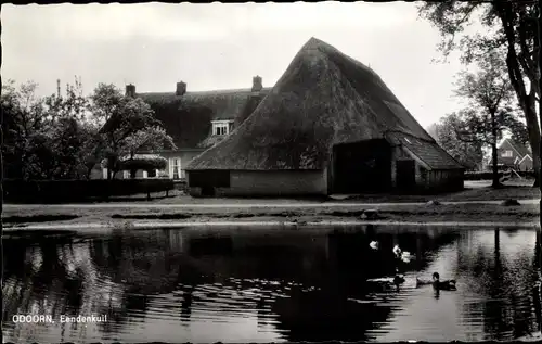 Ak Borger Odoorn Drenthe Niederlande, Eendenkuil