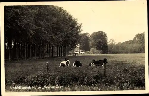 Ak Frederiksoord Drenthe, Huize Westerbeek, Rinder