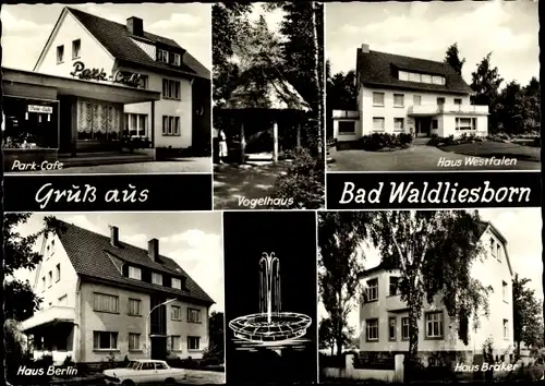 Ak Bad Waldliesborn Lippstadt Nordrhein Westfalen, Parkcafé, Häuser Westfalen, Berlin, Bräker
