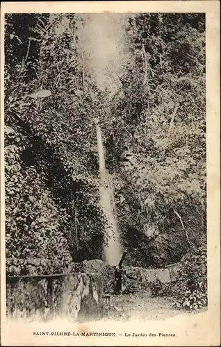Ak St. Pierre Martinique, Le Jardin des Plantes, Wasserfall im botanischen Garten