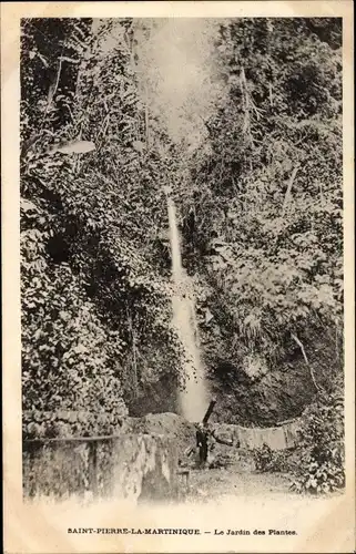 Ak Saint Pierre Martinique, Le Jardin des Plantes, Wasserfall im botanischen Garten