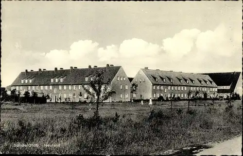 Ak Sande Neufeld in Friesland, Wohnhäuser, Siedlung, Wiese