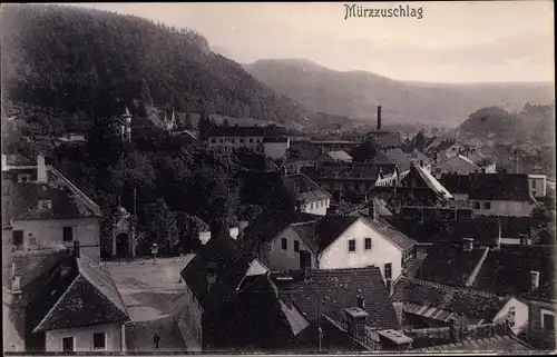 Ak Mürzzuschlag Steiermark, Panorama