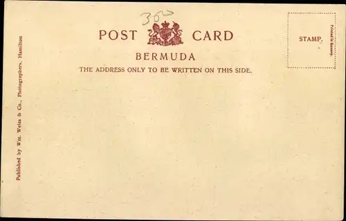 Ak Bermuda, Palmeto Palms