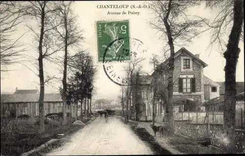 Ak Chanteloup les Vignes Yvelines, Avenue de Poissy