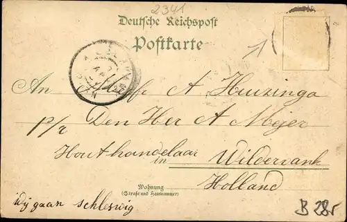 Litho Bad Arnis an der Schlei, Totalansicht, Windmühle, Straßenpartie