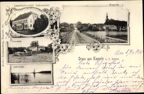 Ak Kappeln an der Schlei, Landwirtschaftliche Lehranstalt, Untere Schlei, Strandhotel, Ortsansicht