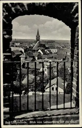 Ak Bad Liebenwerda in Brandenburg, Blick vom Lubwartturm auf die Stadt
