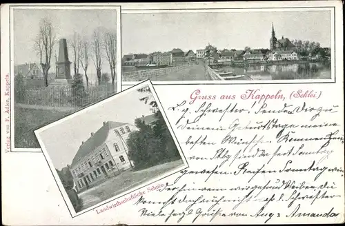 Ak Kappeln an der Schlei, Denkmal, Landwirtschaftliche Schule, Stadtansicht