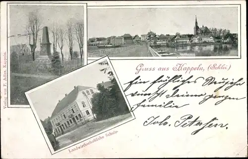 Ak Kappeln an der Schlei, Landwirtschaftliche Schule, Kaiserdenkmal, Stadtansicht