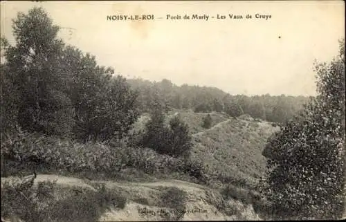 Ak Noisy-le-Roi Yvelines, Foret de Marly, Les vaux de Cruye