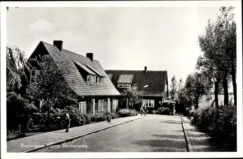 Ak Roelofarendsveen Südholland, Berkenweg