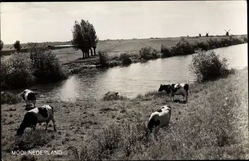 Ak Zevenhuizen Südholland, Flusspartie