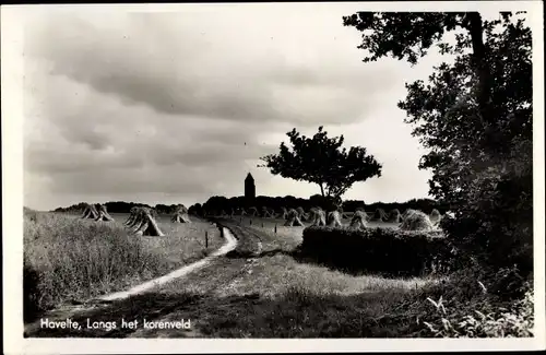 Ak Havelte Drenthe Niederlande, Langs het korenveld