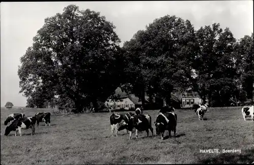 Ak Havelte Drenthe Niederlande, Boerderij