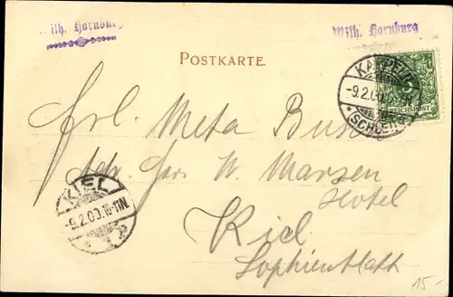 Ak Kappeln an der Schlei, Totalansicht, Nicolaikirche, Schleibrücke