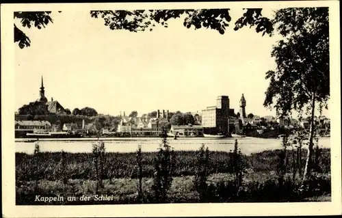 Ak Kappeln an der Schlei, Panorama