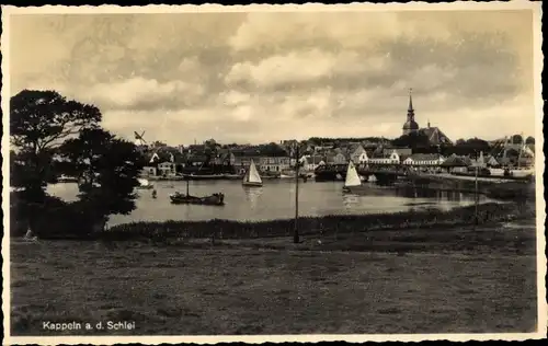 Ak Kappeln an der Schlei, Gesamtansicht