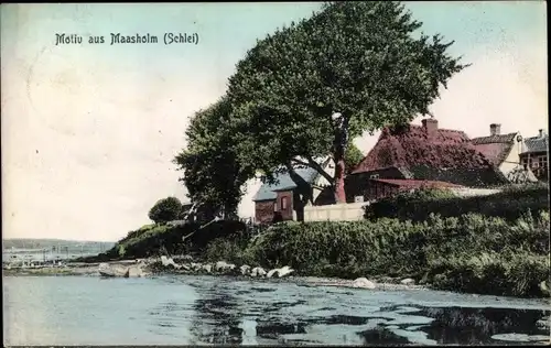 Ak Maasholm in Schleswig Holstein, Schleipartie, Wohnhäuser
