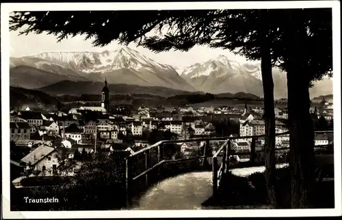 Ak Traunstein in Oberbayern, Teilansicht mit Gebirge