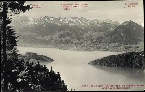 Ak Vierwaldstättersee Kanton Uri, Panorama, Rigi, Nasen