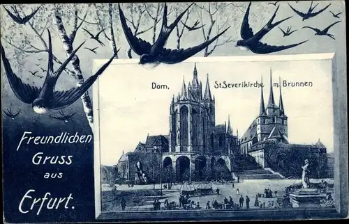 Passepartout Ak Erfurt in Thüringen, Dom, St. Severikirche, Brunnen, Gesamtansicht, Schwalben