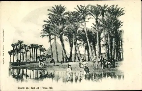 Ak Cairo Kairo Ägypten, Bord du Nil et Palmiers, Pyramide