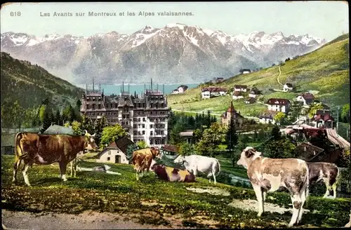 Ak Montreux Kanton Waadt Schweiz, Les Avants sur Montreux et les Alpes valaisannes, Rinder