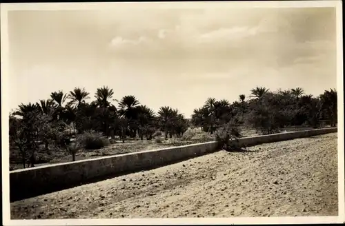 Ak Djibouti Dschibuti, Galmeraie d'Ambouli