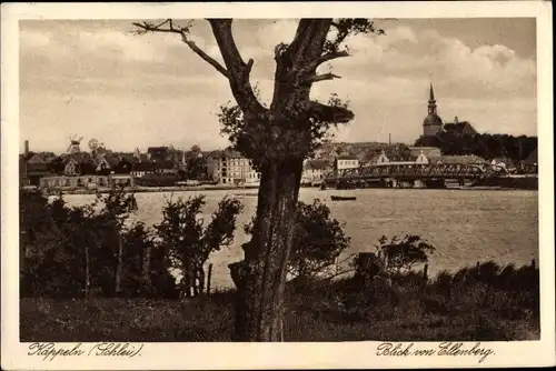 Ak Kappeln an der Schlei, Gesamtansicht, Ellenberg