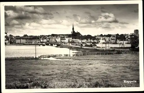 Ak Kappeln an der Schlei, Gesamtansicht