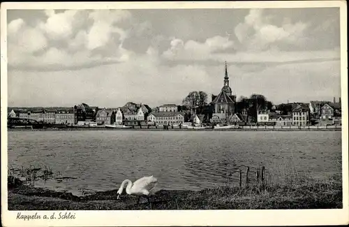 Ak Kappeln an der Schlei, Partie am Wasser, Schwan