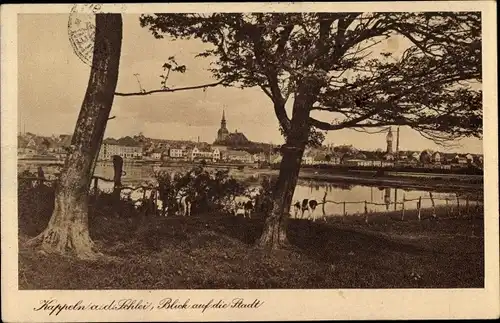 Ak Kappeln an der Schlei, Blick auf die Stadt