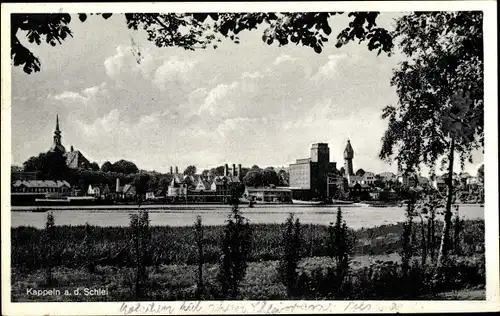 Ak Kappeln an der Schlei, Schleipartie, Stadtpanorama