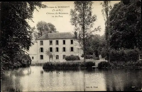Ak Aubepierre-Ozouer-le-Repos Seine et Marne, Chateau de Buisseaux