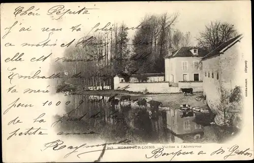 Ak Moret-sur-Loing Seine et Marne, Vaches a L'Abreuvoir