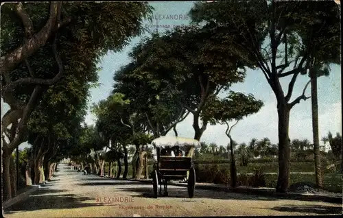 Ak Alexandria Ägypten, Promenade de Ramleh